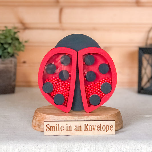 Ladybug shaker image 0